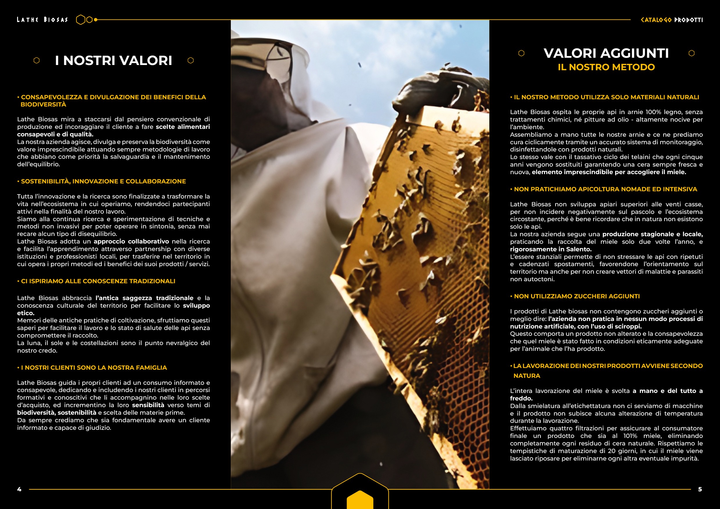 CATALOGO LATHE BIOSAS3