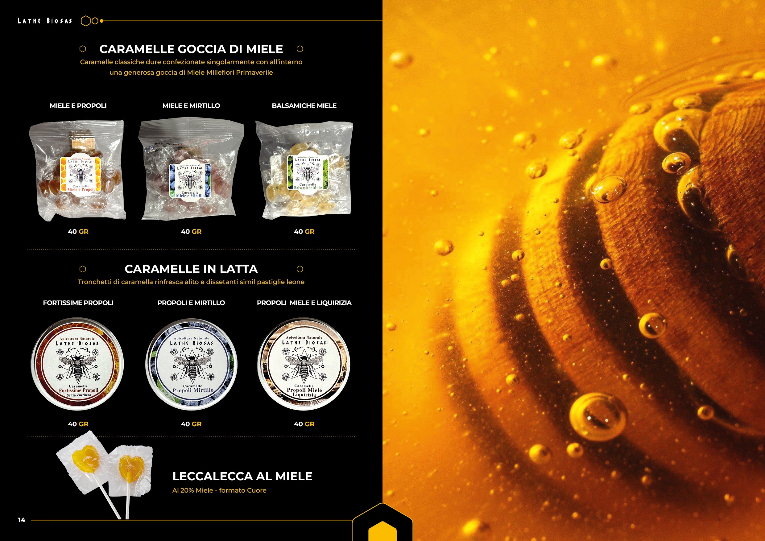 CATALOGO LATHE BIOSAS8